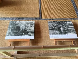 Okinawa171128 - (2) Shikinaen - 76