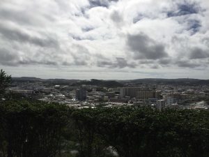 Okinawa171128 - (2) Shikinaen - 82