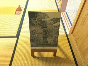 Okinawa171128 - (2) Shikinaen - 85