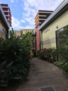 Okinawa171128 - (3) Lunch at Okinawa Outlet Mall Ashibinaa - 5