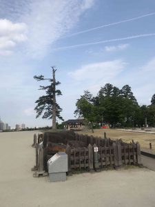 June-08-56