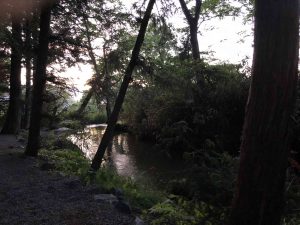 June-09-79