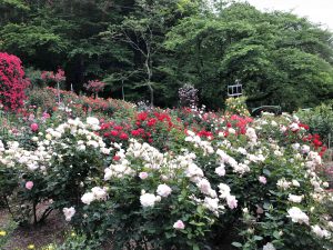 June-10-106