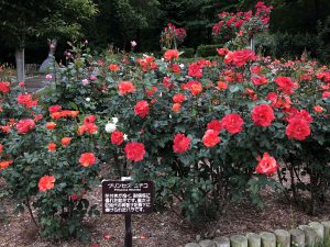 June-10-108