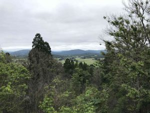 June-10-36