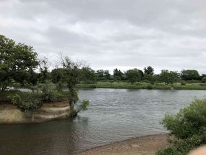 June-10-47