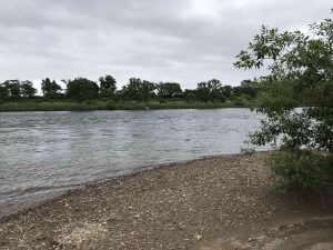 June-10-50