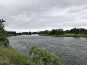 June-10-54