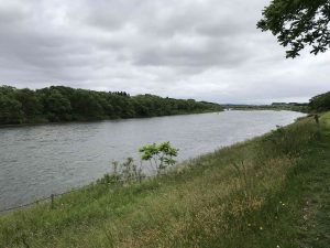 June-10-56