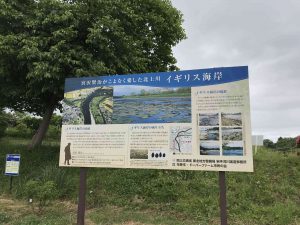 June-10-59