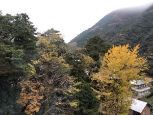 December 1, 2018 - (1) Hotel IMG_8840
