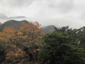 December 1, 2018 - (1) Hotel IMG_8850