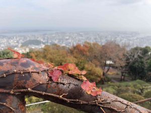 December 1, 2018 - (3) Bizan Park IMG_8917