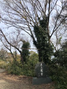December 1, 2018 - (3) Bizan Park IMG_8946