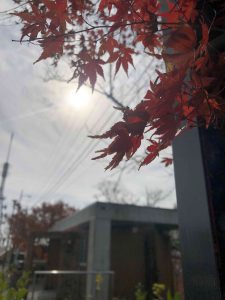 December 1, 2018 - (3) Bizan Park IMG_8950