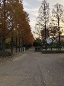December 1, 2018 - (5) Tokushima Central Park IMG_1096