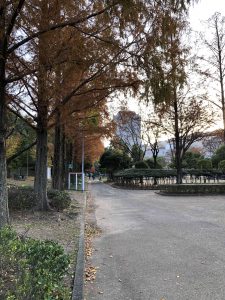December 1, 2018 - (5) Tokushima Central Park IMG_1097