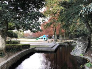 December 1, 2018 - (5) Tokushima Central Park IMG_1100