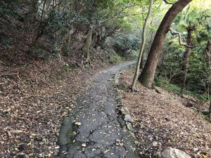 December 1, 2018 - (5) Tokushima Central Park IMG_1103