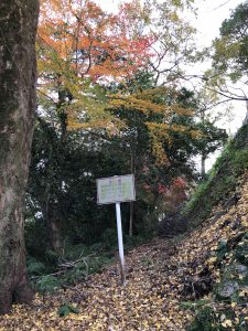 December 1, 2018 - (5) Tokushima Central Park IMG_1104