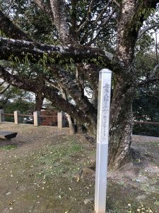 December 1, 2018 - (5) Tokushima Central Park IMG_1107