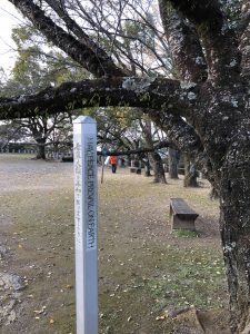 December 1, 2018 - (5) Tokushima Central Park IMG_1108