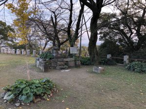December 1, 2018 - (5) Tokushima Central Park IMG_1109