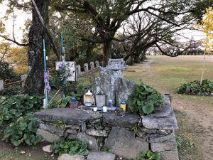 December 1, 2018 - (5) Tokushima Central Park IMG_1111