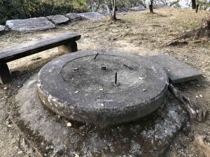 December 1, 2018 - (5) Tokushima Central Park IMG_1115