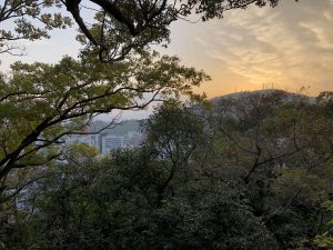 December 1, 2018 - (5) Tokushima Central Park IMG_1116