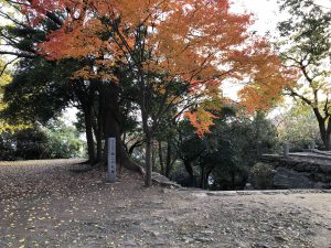 December 1, 2018 - (5) Tokushima Central Park IMG_1118