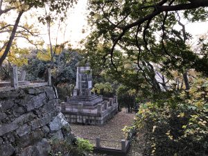 December 1, 2018 - (5) Tokushima Central Park IMG_1120