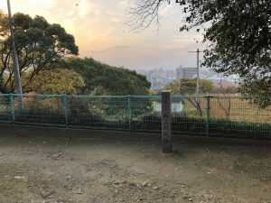 December 1, 2018 - (5) Tokushima Central Park IMG_1122