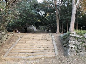 December 1, 2018 - (5) Tokushima Central Park IMG_1123