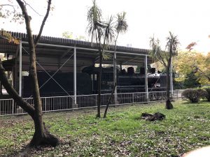 December 1, 2018 - (5) Tokushima Central Park IMG_1126