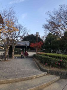 December 1, 2018 - (5) Tokushima Central Park IMG_8967