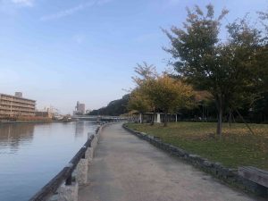 December 1, 2018 - (5) Tokushima Central Park IMG_8968