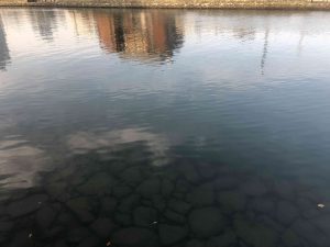December 1, 2018 - (5) Tokushima Central Park IMG_8970