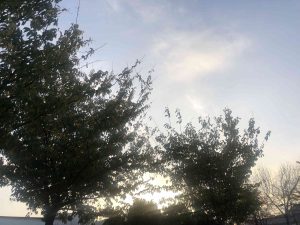 December 1, 2018 - (5) Tokushima Central Park IMG_8973