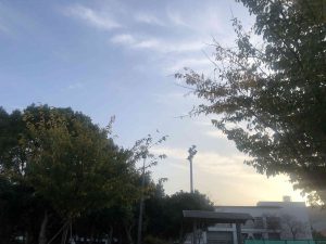 December 1, 2018 - (5) Tokushima Central Park IMG_8974