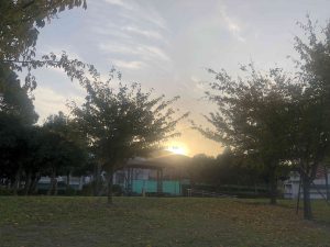 December 1, 2018 - (5) Tokushima Central Park IMG_8975