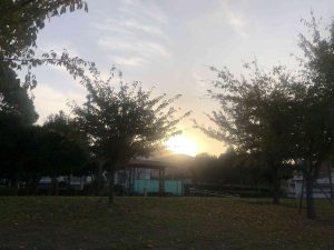 December 1, 2018 - (5) Tokushima Central Park IMG_8976