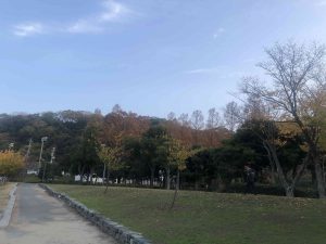 December 1, 2018 - (5) Tokushima Central Park IMG_8977