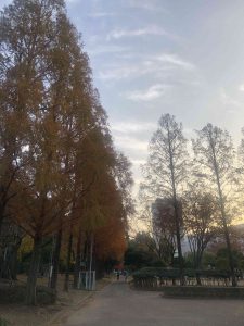 December 1, 2018 - (5) Tokushima Central Park IMG_8981
