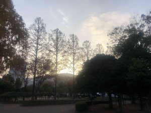 December 1, 2018 - (5) Tokushima Central Park IMG_8984