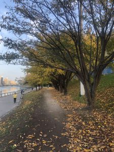 December 1, 2018 - (5) Tokushima Central Park IMG_8985