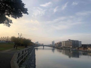 December 1, 2018 - (5) Tokushima Central Park IMG_8993