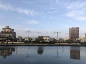December 1, 2018 - (5) Tokushima Central Park IMG_8999