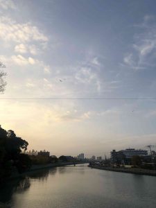 December 1, 2018 - (5) Tokushima Central Park IMG_9006
