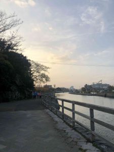 December 1, 2018 - (5) Tokushima Central Park IMG_9007